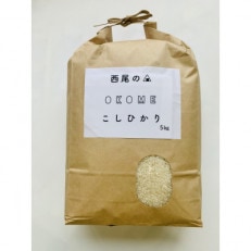 【令和5年産】　西尾のお米・翔米5kg(こしひかり) K213-11