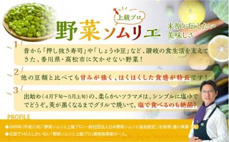 旬の味覚 そらまめ 約2kg【2024年5月上旬～2024年6月上旬配送】【T006-214】