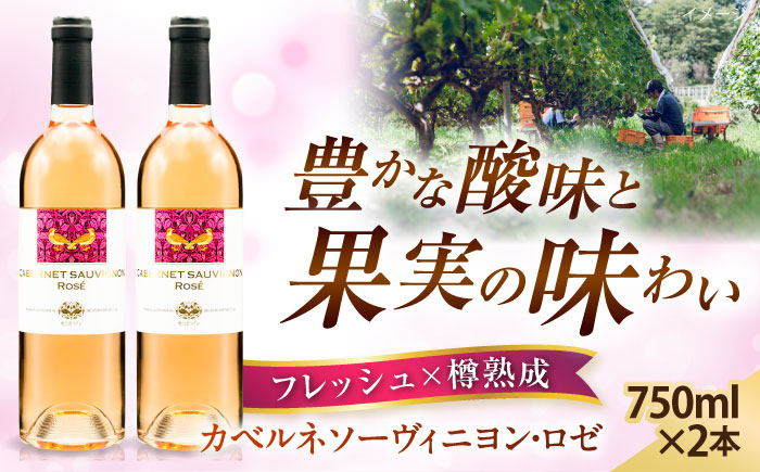 
            奥出雲葡萄園 カベルネソーヴィニヨン・ロゼ 2本セット お酒 国産 ロゼ ロゼワイン 熟成ワイン 熟成 酒 ギフト 果実酒 お祝 贈答用 アルコール パーティー フルボトル 島根県雲南市/有限会社奥出雲葡萄園 [AICS023]
          