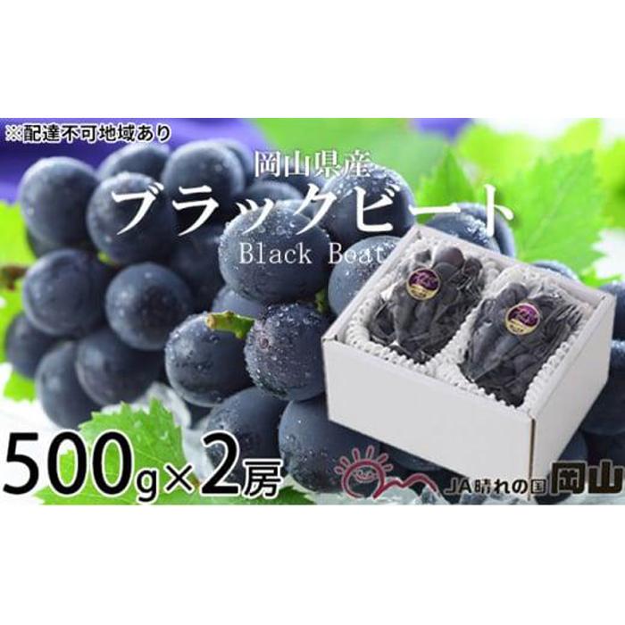 【ふるさと納税】ぶどう 2026年 ブラックビート 約500g×2房 ブドウ 葡萄 岡山県産 国産 フルーツ 果物 ギフト | フルーツ 果物 くだもの 食品 人気 おすすめ 送料無料