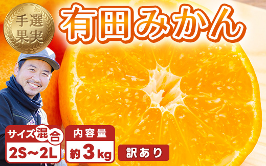 【まごころ手選別】和歌山産 有田みかん 3kg 家庭用(2S～2Lサイズ混合) ※2025年11月上旬～2026年1月下旬頃に順次発送予定