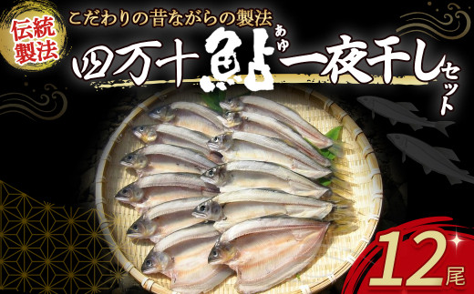 四万十鮎 一夜干し 12尾セット ／Ess‐14 鮎 アユ あゆ 一夜干し 干物 国産 無添加 冷凍 四万十町 高知 鮎
