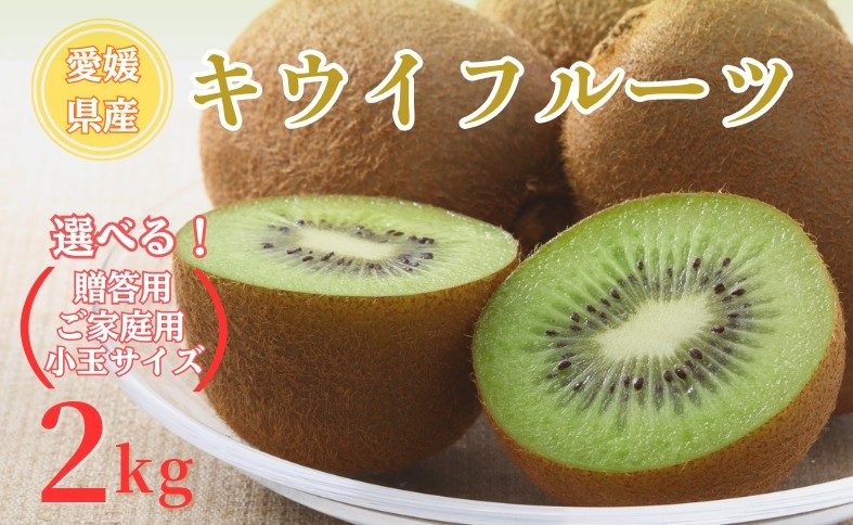 
                  【2026年先行予約】キウイ バラ詰め 2kg 【選べる内容】 贈答用 家庭用 小玉サイズ限定 農園直送 先行予約 【2026年10月中旬から順次発送予定】 キウイフルーツ 愛媛 数量限定 伊予市
                