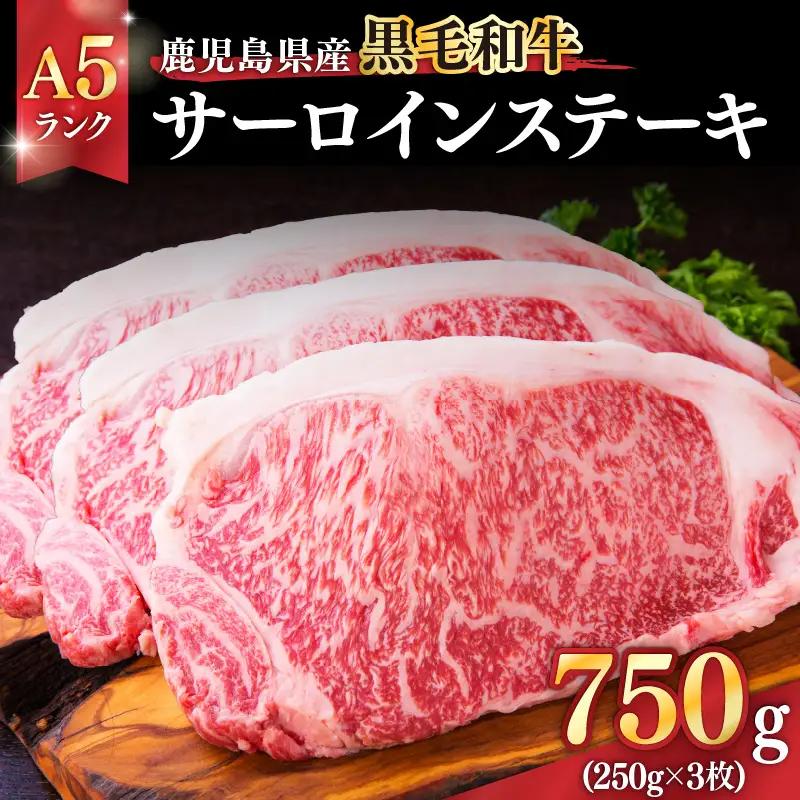 1398-1 鹿児島県産黒毛和牛A5ランクサーロインステーキ 750g（250g×3枚） KN041-001-02 肉 牛肉 冷凍