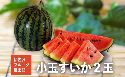 
            【2026年発送】伊佐沢フルーツ倶楽部の小玉すいか2玉_H098(R8)
          