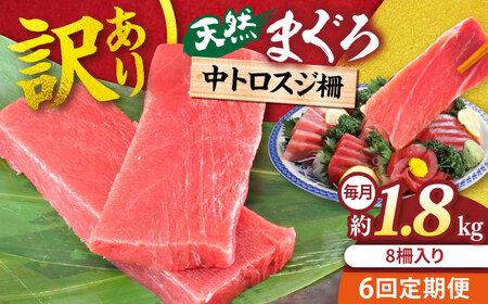 【全6回定期便】【訳あり】天然 本まぐろ 中トロ 計約1.8kg (8柵入り) 鮪 マグロ 魚 刺身 横須賀【横須賀商工会議所 おもてなしギフト事務局（本まぐろ直売所 横須賀本店）】 [AKAK072]