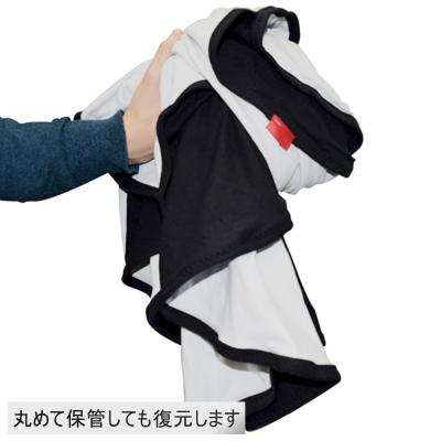 ふるさと納税 宍粟市 フレキシブルスクリーン大　AG29　 |  | 02