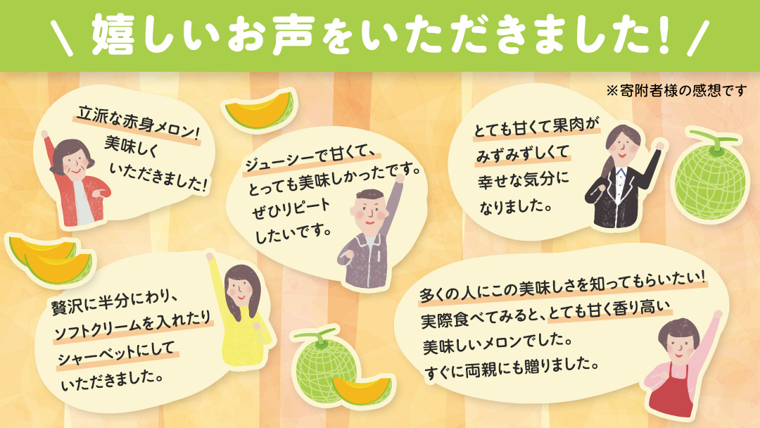 先行予約 ほのかメロン 秀品（ 赤肉 ） 4玉 ～ 5玉 ( 2L ～ 3L )【 6月上旬 以降発送】 メロン 果物 フルーツ 甘い 茨城県 茨城県産 期間限定 数量限定 産地直送 農家直送 [AV