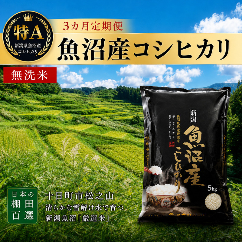 【令和7年産】 【食味鑑定士厳選】無洗米 3カ月 定期便 日本棚田百選のお米 天空の里 魚沼産 こしひかり 5kg×3回 米 お米 コメ
