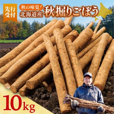 ふるさと納税 清水町 先行受付!2026年10月頃〜発送開始!北海道十勝清水町産 ごぼう! 10kg