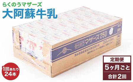 【定期便 5ヶ月毎：2回】大阿蘇牛乳 250ml 1回あたり24本入り 常温保存 大阿蘇牛乳 熊本牛乳 成分無調整牛乳 ロングライフ牛乳