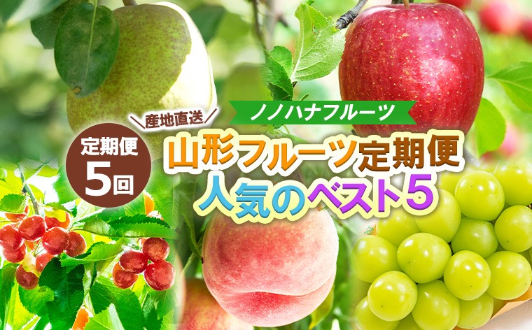 
                  【定期便5回】産地直送 山形フルーツ定期便 人気のベスト5 FY25-331
                