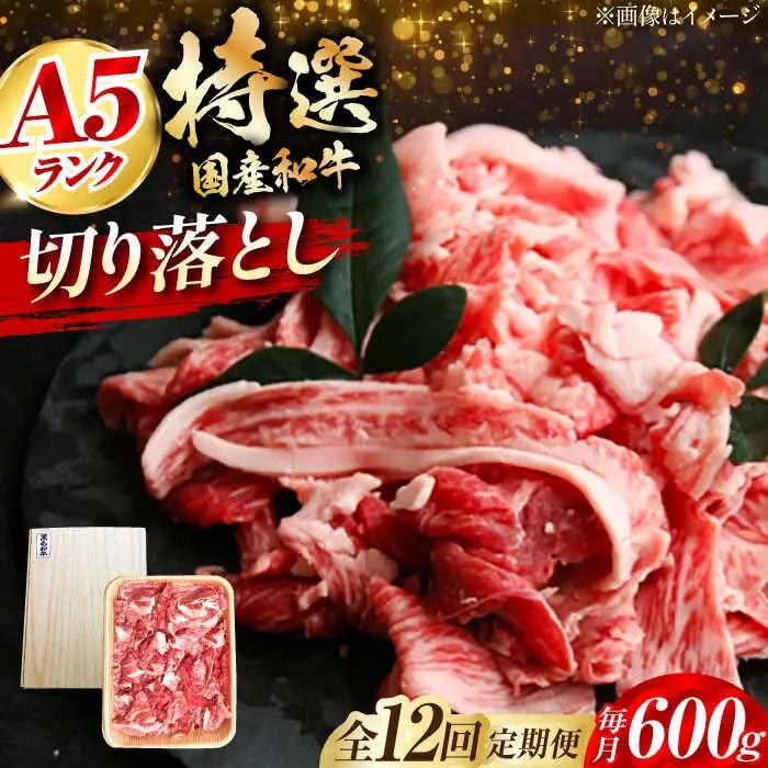 【全12回定期便】国産和牛切落し 600g[AOAI025] 牛肉切り落とし
