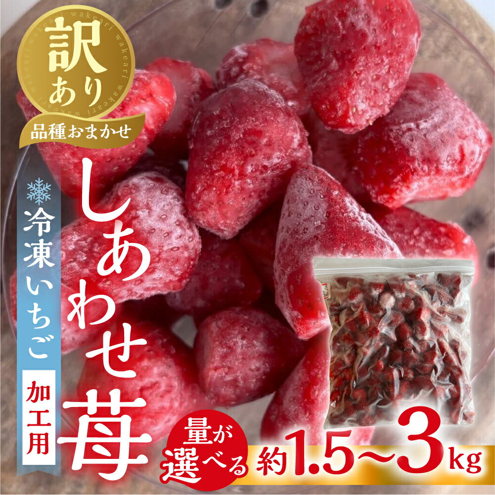 【ふるさと納税】【2026年5月発送〜】加工向きな 冷凍いちご 1.5kg ~ 3kg 簡易梱包 サイズ 不揃い 訳あり 訳アリ フルーツ 果物 苺 いちご イチゴ 紅ほっぺ 品種おまかせ アイス シャーベット family農園 業務用 国産 産地直送 岐阜県 8000円 1万 [mt1561] 10000円 一万円