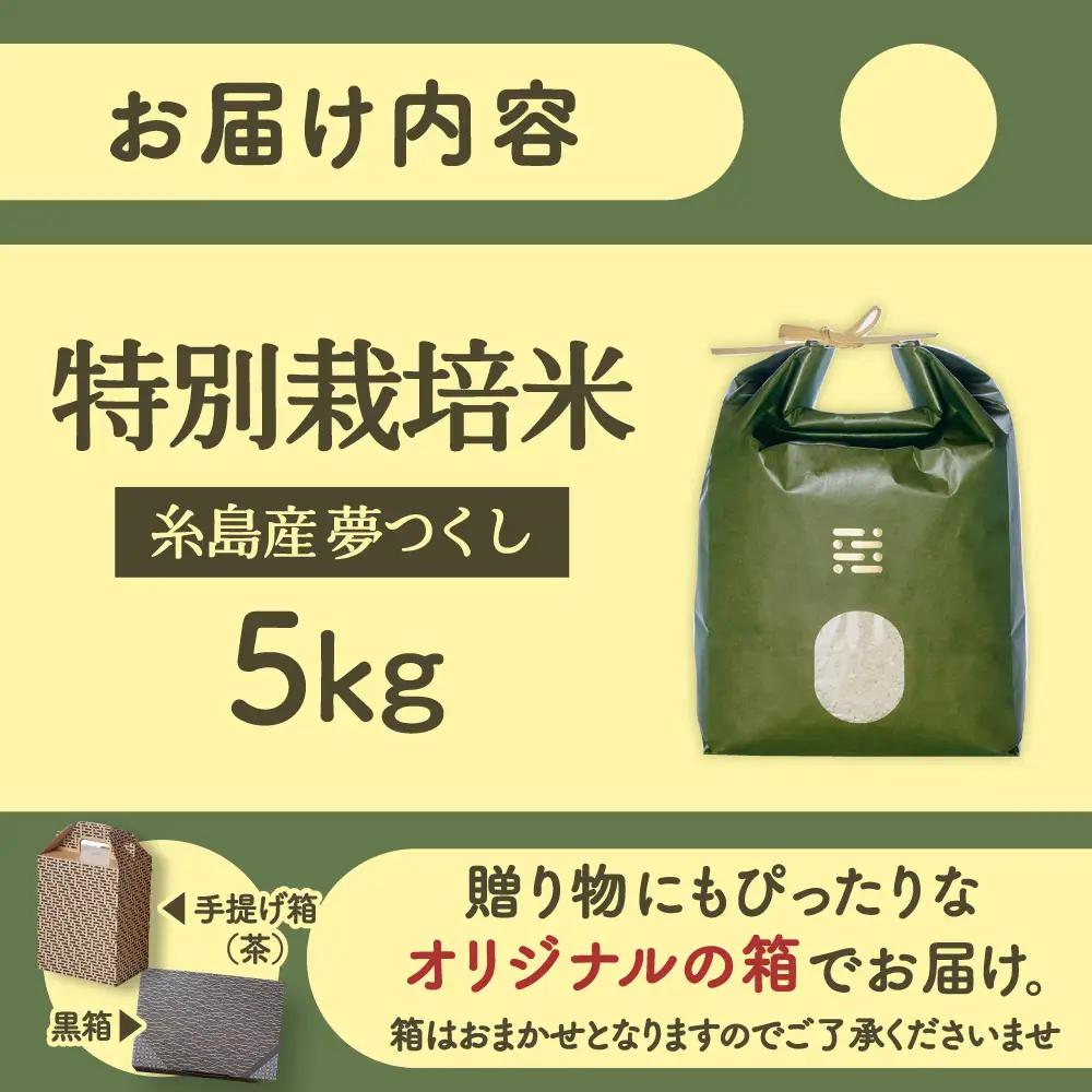 とくべつの中のとくべつ 特別栽培米 5kg 夢つくし 吉富町/(株)やました[BGBX005]