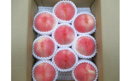 旬の桃　３ｋｇ　ご家庭用　0110-2502