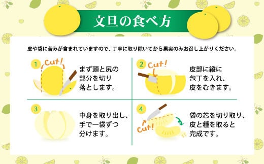 【先行予約】【訳あり】土佐文旦（ぶんたん）家庭用（M～5L）約3kg 〈2027年2月中旬～発送〉 文旦 3キロ 土佐文旦発祥の地 産地直送 約4～10玉 大玉 ぶんたん 訳あり【株式会社とさもん】 