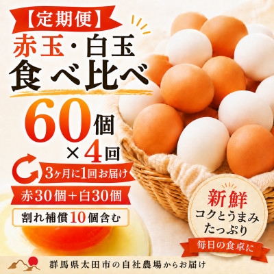 
                  【3ヵ月毎定期便】むかしのおいしい卵・心美卵 紅白食べ比べセット 60個(各30個)全4回【4091602】
                