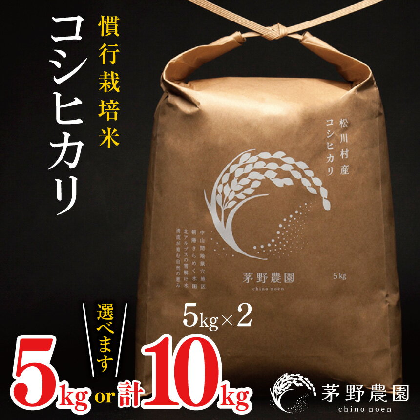【ふるさと納税】コシヒカリ 慣行栽培米 選べる 内容量 5kg / 10kg 【令和7年度産】 | 茅野農園 米 こめ コメ お米 白米 はくまい 精米 コシヒカリ 慣行栽培米 栽培米 長野県 松川村 信州