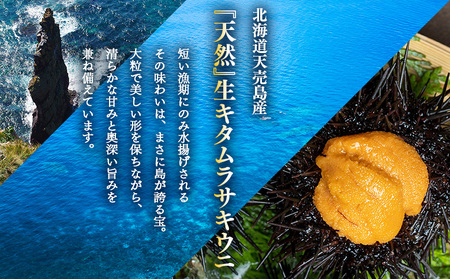 【北海道 天売島産】 ★2026年先行予約★ 天然 キタムラサキうに 塩水パック 100g×1パック【31001】