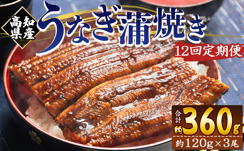 【１２回定期便】高知県産養殖うなぎ蒲焼き 100～120g 3尾 Wfb-0044