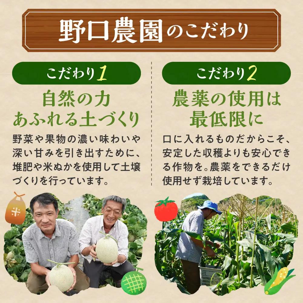 野口農園お米セット10kg「ななつぼし・おぼろづき」｜ お米 10kg 北海道産 産地直送 ブランド米 食べ比べ