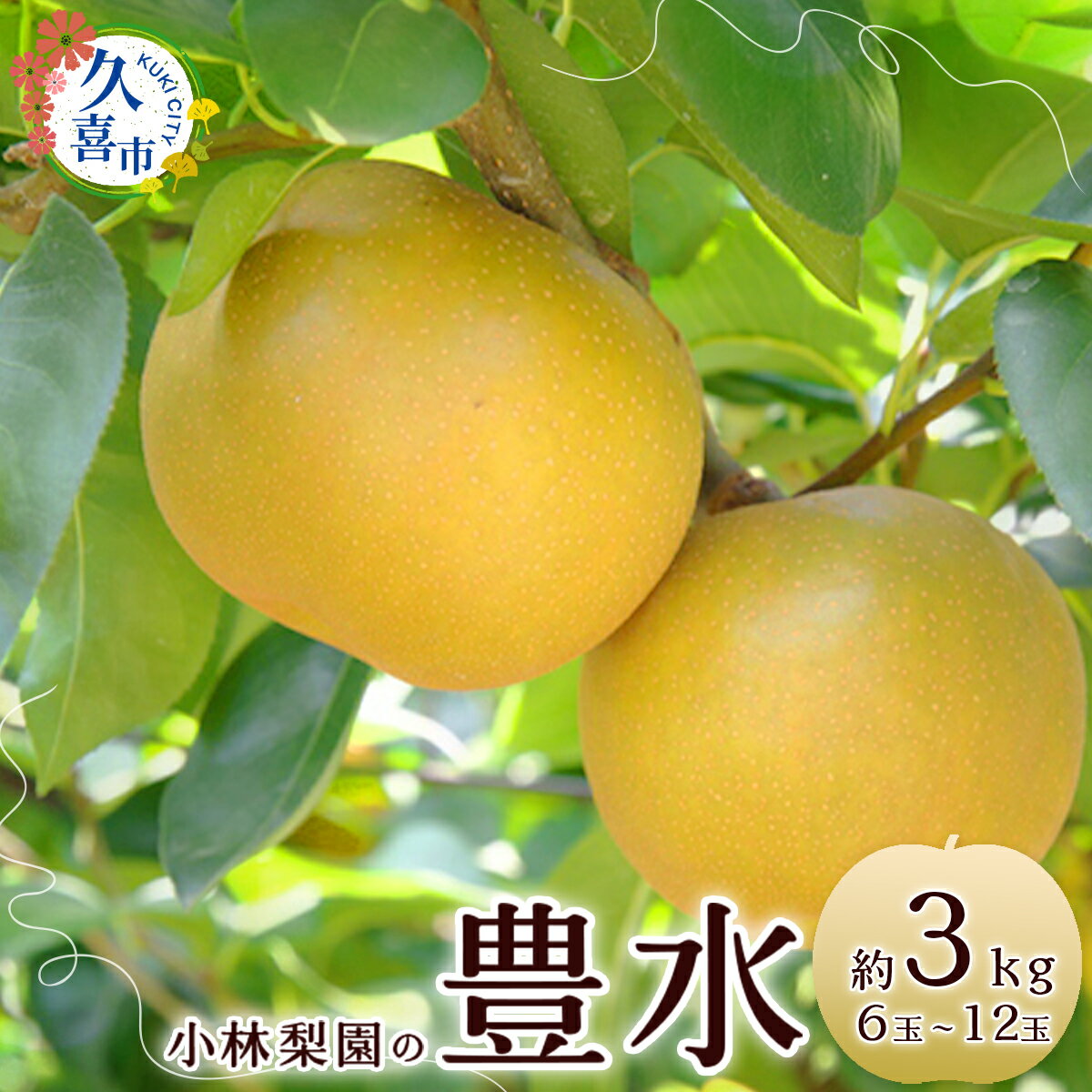 【ふるさと納税】《先行予約 数量限定》梨 豊水 約3kg 6玉～12玉｜埼玉県 久喜市 菖蒲 小林梨園 農家直送 フルーツ 甘い 限定 果物 果樹 直売