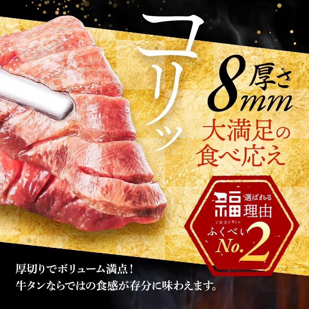 牛タン 仙台名物 厚切り 塩味 1kg（500g×2P）