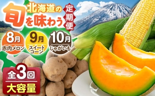 【全3回定期便】 旬の恵み定期便 （大容量セット）　《喜茂別町》 【Aコープようてい】　野菜 季節の野菜 詰め合わせ 大容量 北海道 産地直送 定期便 [AJAK026]