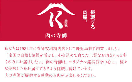 【3ヶ月定期便】鹿児島 うんまか豚 生餃子 48個 株式会社 寺師《お申し込み翌月から出荷》鹿児島県 さつま町 餃子 ギョウザ 焼き餃子 水餃子