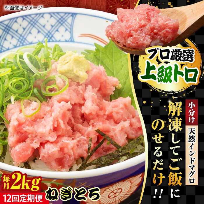 【ふるさと納税】【全12回定期便】天然 まぐろ ねぎとろ 約2kg（約250g×8パック） 鮪 マグロ 魚 ネギトロ とろ まぐろたたき マグロたたき 横須賀【横須賀商工会議所 おもてなしギフト事務局（本まぐろ直売所 横須賀本店）】[AKAK049]