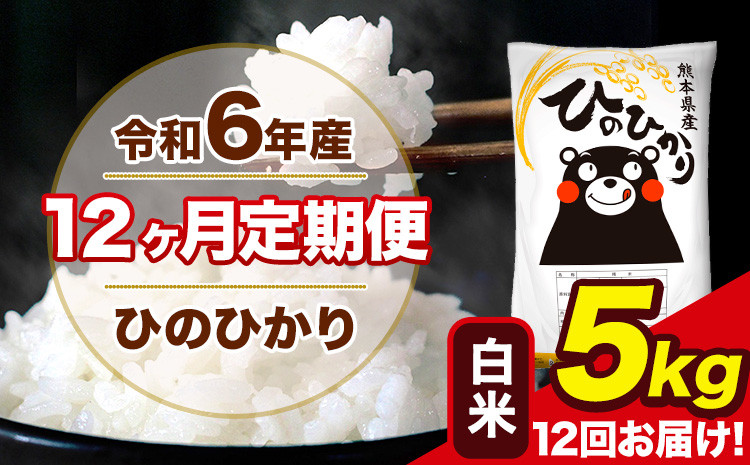 
            令和6年産 【12ヶ月定期便】 ひのひかり 白米 5kg 5kg×1袋 計12回お届け 熊本県産 こめ コメ 白米 精米 荒尾市 ひの 米 定期 《お申込み月の翌月から出荷開始》
          