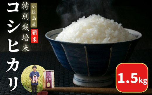 【2026年9月順次発送】令和8年産 白米 コシヒカリ 1.5kg 特別栽培米 健康  安心 安全  お試し 少量 小分け 四国 徳島 小松島 米 おいしい kome お米 こめ おこめ こしひかり 精米 国産 ごはん ご飯 白飯 ゴハン 人気 コスパ おすすめ TKG 卵かけご飯 おにぎり おむすび