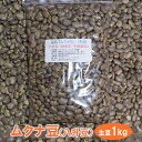 【ふるさと納税】ムクナ豆（八升豆）生豆1kg 〔D-47〕