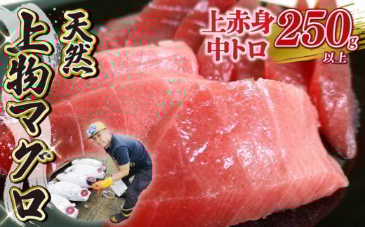 天然 マグロ 2種 250g 以上  刺身 上物 まぐろ 鮪 赤身 中トロ 冷凍 静岡県 藤枝市