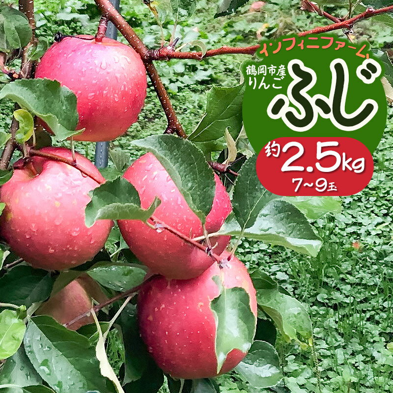 【ふるさと納税】【令和8年産先行予約】鶴岡市産りんご ふじ 約2.5kg（7～9玉）　インフィニファーム　K-828