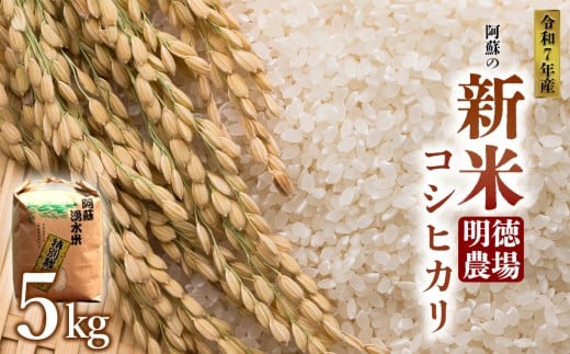 【予約】新米 コシヒカリ 令和7年産  5kg 白米 明徳農場 減農薬 特別栽培米 米 お米 美味しい 寒暖差 湧き水 お取り寄せ 熊本県 阿蘇市