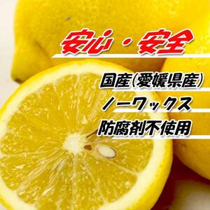 訳あり レモン サイズ不揃い 約5kg ( 訳あり れもん レモン 檸檬 国産 旬のフルーツ 愛媛県 松山市)【VEG036】
