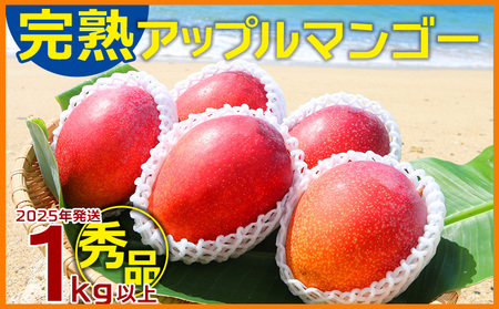 マンゴー【2026年発送】完熟アップルマンゴー秀品・約1kg