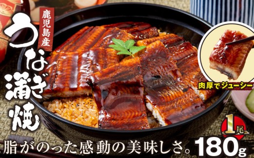 2521 鹿児島産うなぎ 合計180g（180g×1尾）　KN021-015-01