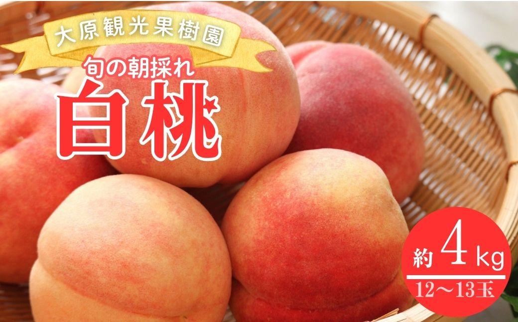 【2026年先行予約】［大原観光果樹園］岡山県産 旬の朝採れ白桃 1箱（約4kg 12～13玉）【026-a021】
