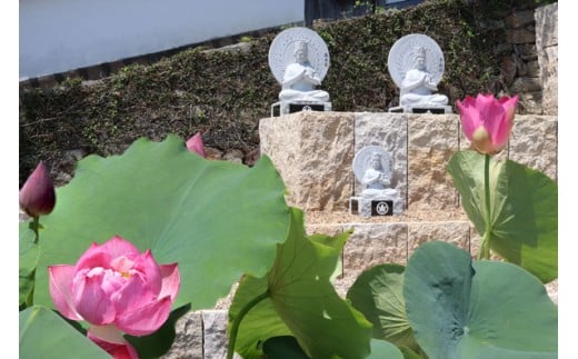 永代供養 (合同墓) | 永代供養墓 掃除 供養 墓じまい サービス 代行 お墓 奈良県 五條市
