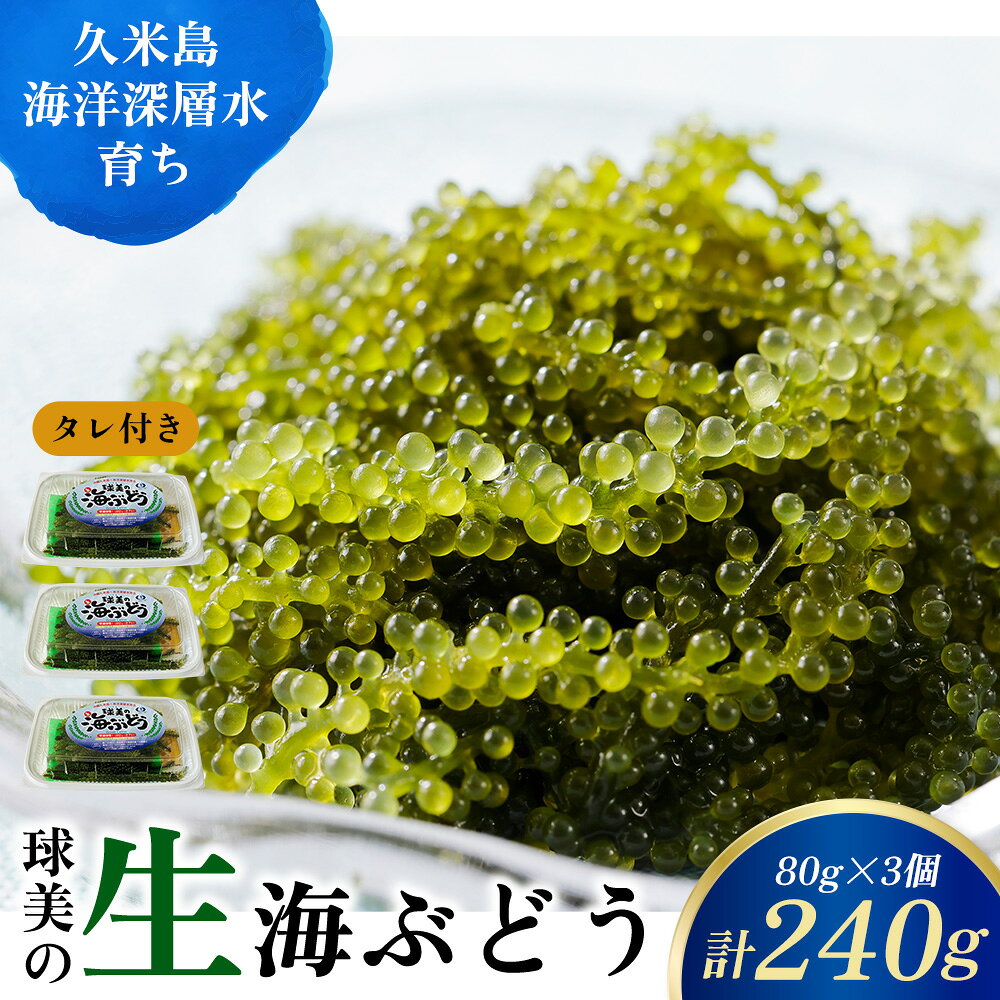 【ふるさと納税】沖縄久米島・海洋深層水育ち 球美の「生」海ぶどう（80g×3個）タレ付き