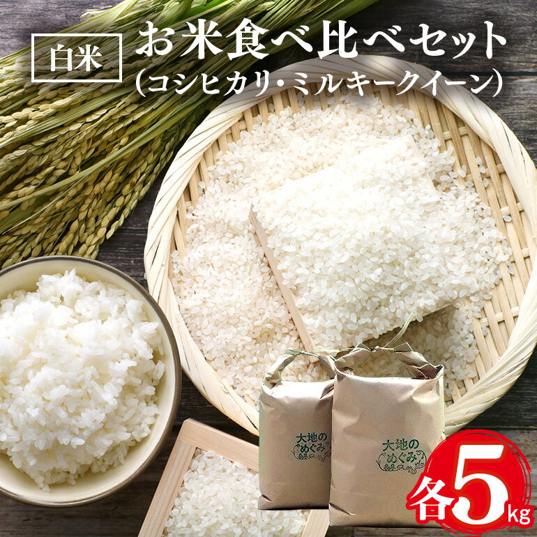 【ふるさと納税】【令和7年産】お米 食べ比べ セット( 白米 ) 各 5kg 計 10kg こしひかり ミルキークイーン 2種類 コシヒカリ お米 米 おこめ 5キロ 10キロ 国産 単一原料米 コメ こめ ご飯 銘柄米 茨城県産 茨城 産直 産地直送 農家直送 ごはん 茨城県 石岡市 (B01-008)