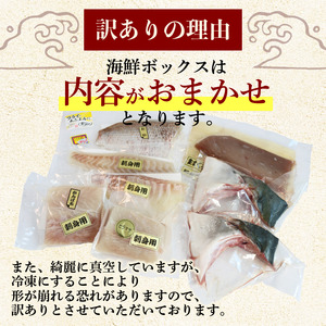 （冷凍） 南伊勢 海鮮 お宝 ボックス ／ 城水産 新鮮 海の幸 三重県 南伊勢町 伊勢志摩