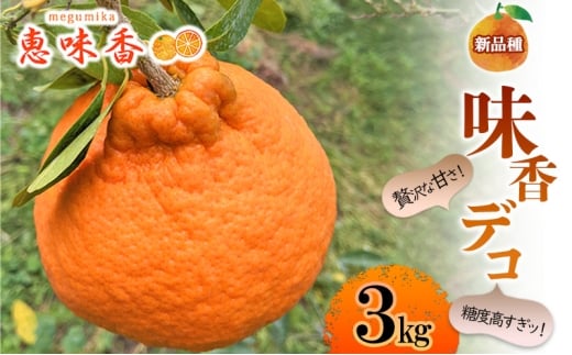 佐賀みかん みかん 味香デコ 3kg 果物 フルーツ ※配送不可：離島