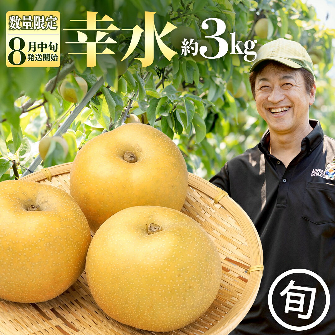 【ふるさと納税】【 数量限定 】梨 幸水 約 3kg 農園から直送！【2026年8月中旬発送開始】こうすい 梨 ナシ なし 果物 フルーツ デザート 秋 茨城県 数量限定