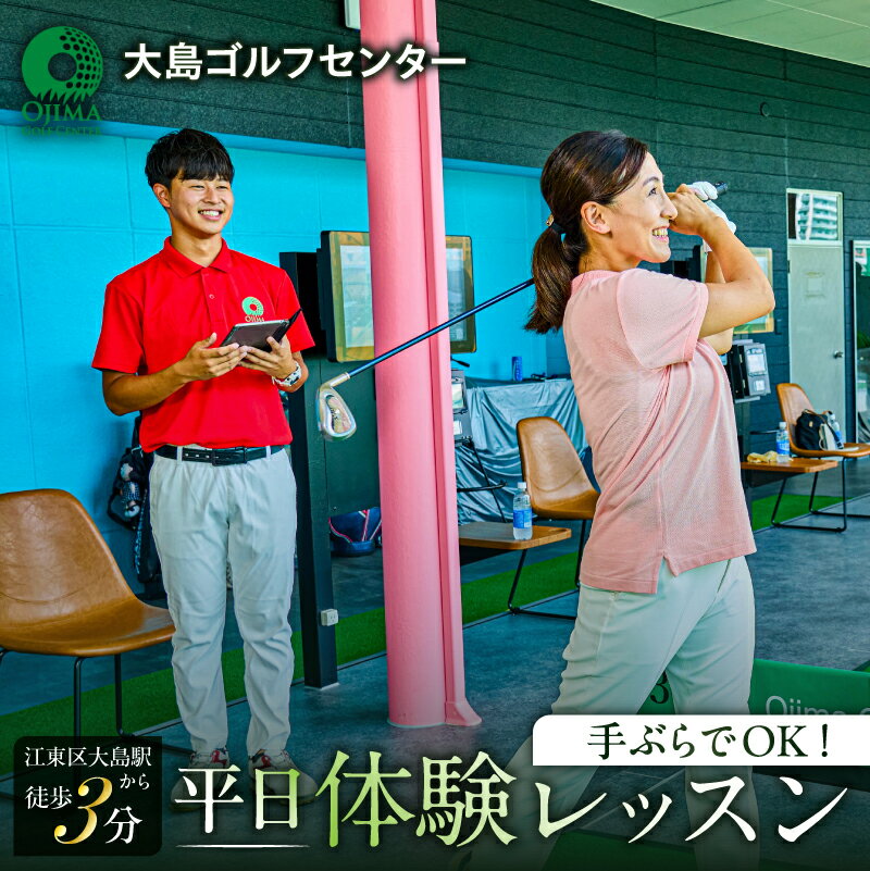 【ふるさと納税】手ぶらでOK！【平日】体験レッスン（お一人様一回限り） 東京都 江東区 ゴルフ 練習場 天然芝 体験 レッスン 利用券 チケット 駅チカ 駅近 個別 送料無料