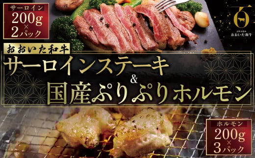 おおいた和牛サーロインステーキ&ぷりぷりホルモン(合計1kg) G19