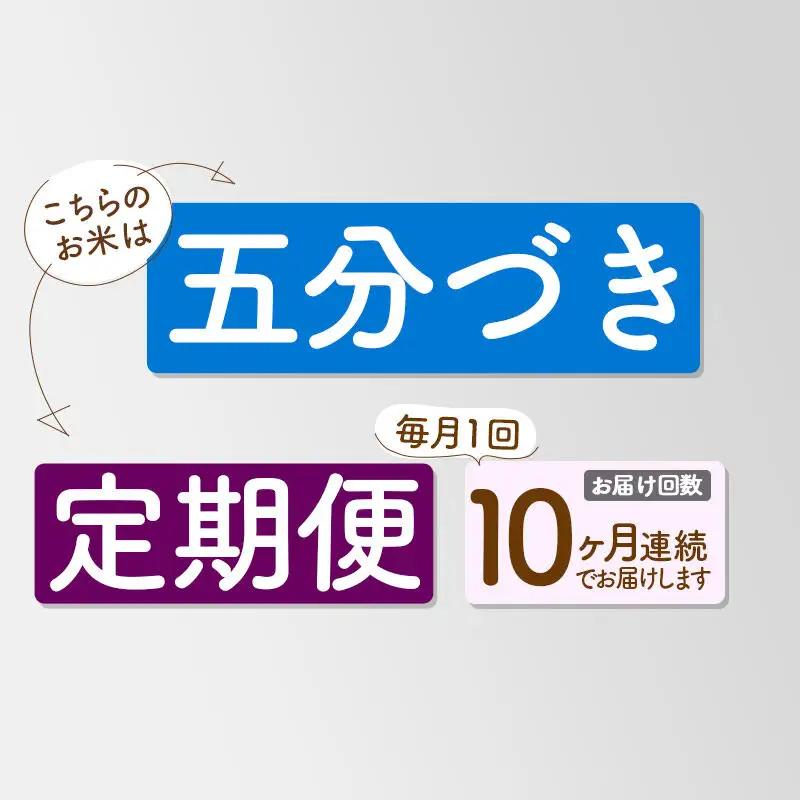 《新米先行受付》《定期便10ヶ月》【5分搗き】あきたこまち 20kg 秋田県産 令和8年産 こまちライン